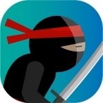 Постер игры Ниндзя Дракон | Ninja Dragon